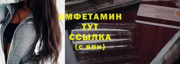 индика Майский