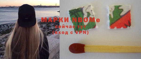 индика Майский