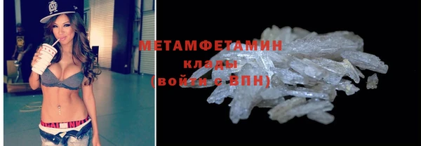 индика Майский