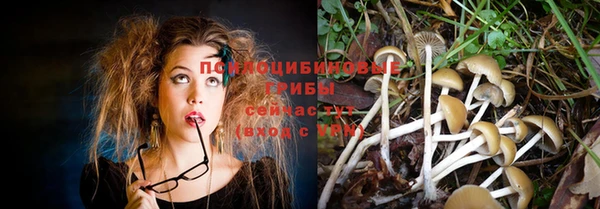 индика Майский