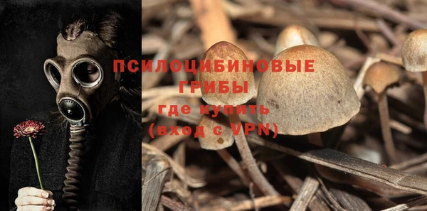 индика Майский