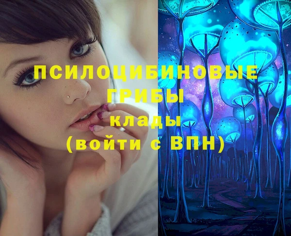 индика Майский