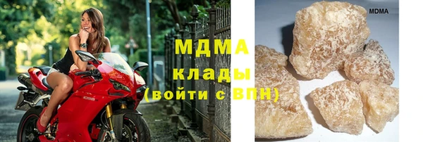 индика Майский