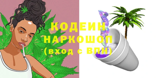 индика Майский