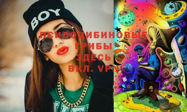 индика Майский