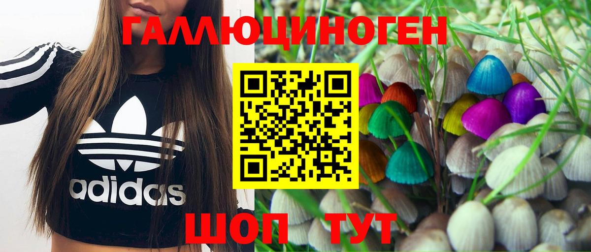 Галлюциногенные грибы Magic Shrooms  Заречный 