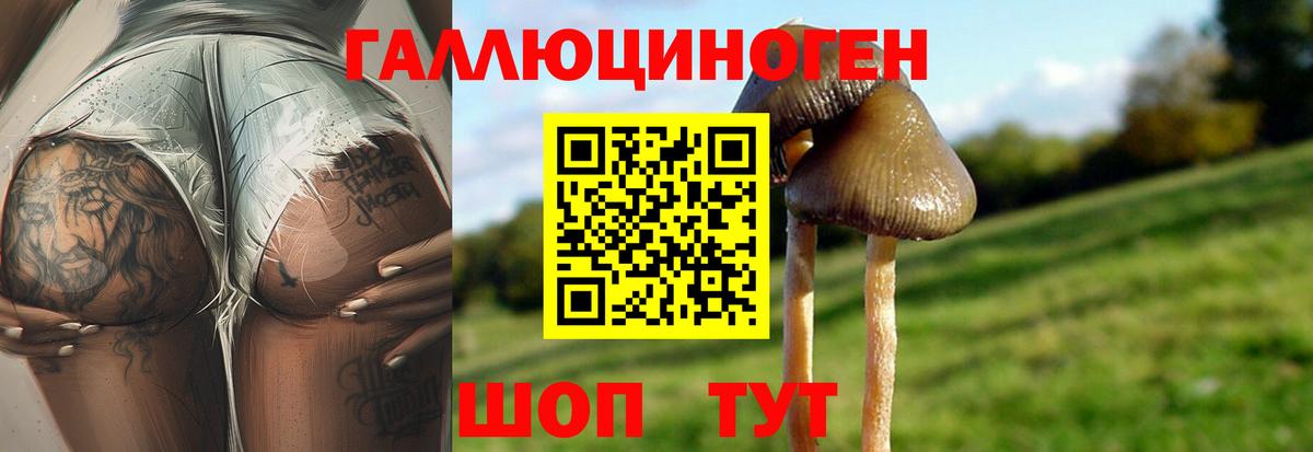 Заречный  Галлюциногенные грибы MAGIC MUSHROOMS  Вход с VPN  Галлюциногенные грибы GOLDEN TEACHER 